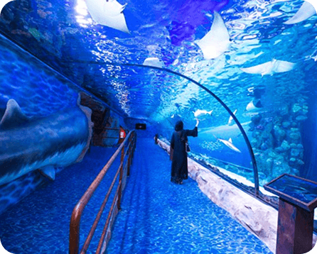 Dubai Aquarium